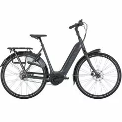 Gazelle Arroyo C5 Elite – Grey 46 Cm